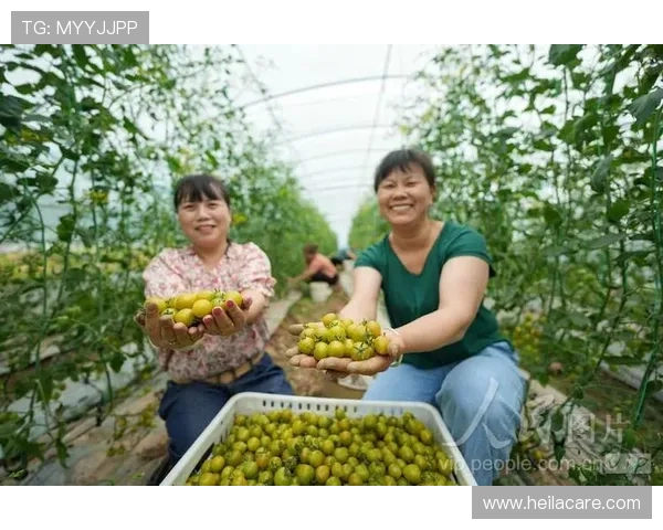 ag捕鱼王手机app最新版本下载与安装指南,轻松开启精彩捕鱼体验 ag捕鱼王手机app最新版本下载与安装指南,轻松开启精彩捕鱼体验